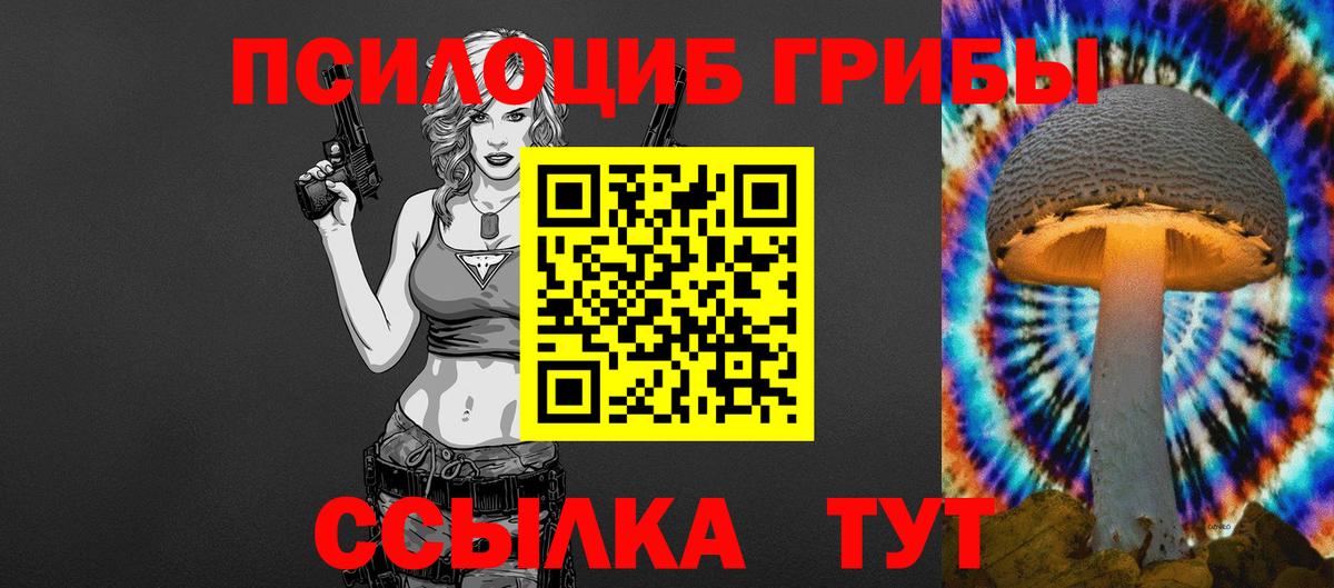 Псилоцибиновые грибы Cubensis  Галлюциногенные грибы Psilocybe  Томск 